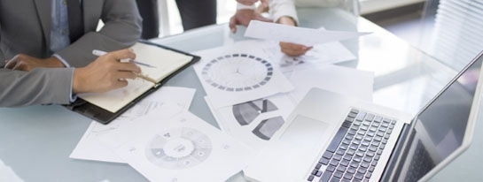 招投標部/Bidding Department